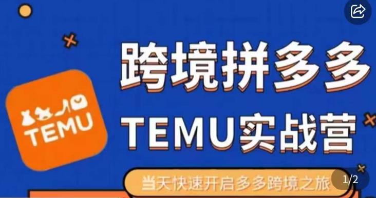 大鹏出海·拼多多跨境temu运营指导，开店注册+选品+核价上架，日出千单实战课