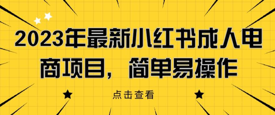 2023年最新小红书成人电商项目，简单易操作【详细教程】【揭秘】