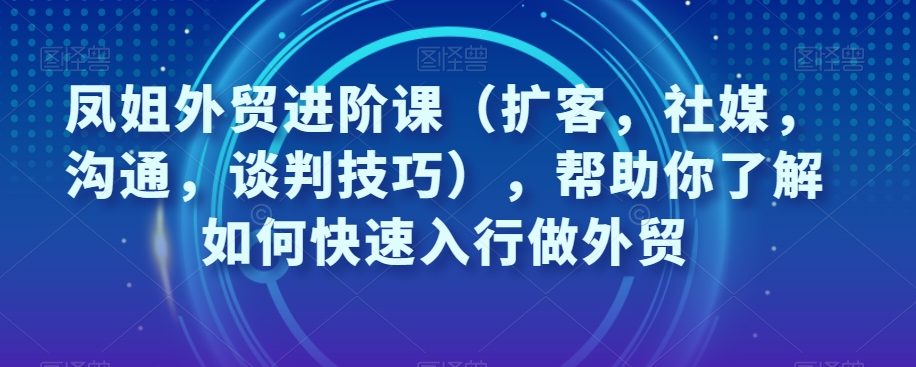 凤姐外贸进阶课（扩客，社媒，沟通，谈判技巧），帮助你了解如何快速入行做外贸