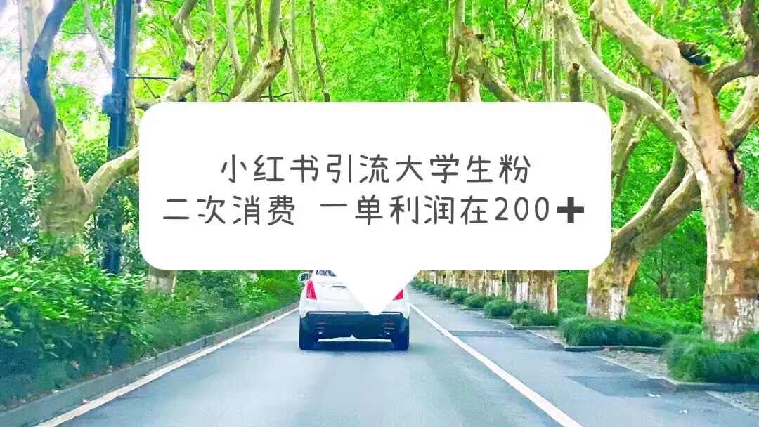 (5914期)小红书引流大学生粉,变现项目,一单利润在200+(教程+资源)