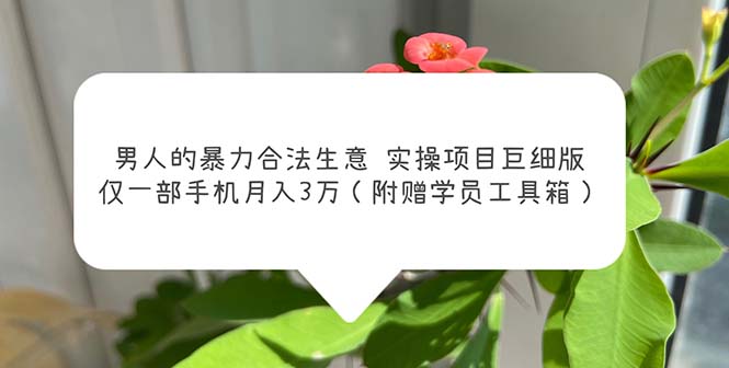 (5962期)男人的暴力合法生意实操项目巨细版:仅一部手机月入3w(附赠学员工具箱)