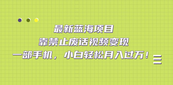 (7276期)最新蓝海项目,靠禁止废话视频变现,一部手机,小白轻松月入过万!