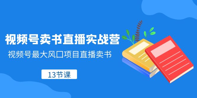 视频号卖书直播实战营,视频号最大风囗项目直播卖书(13节课)