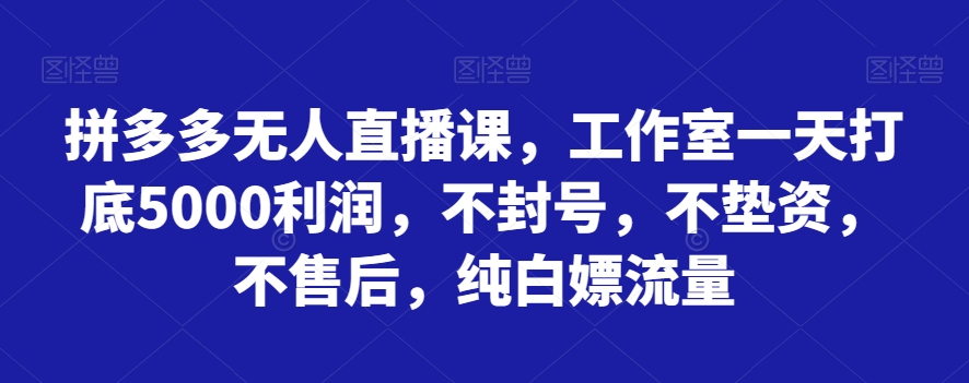 拼多多无人直播课,工作室一天打底5000利润,不封号,不垫资,不售后,纯白嫖流量