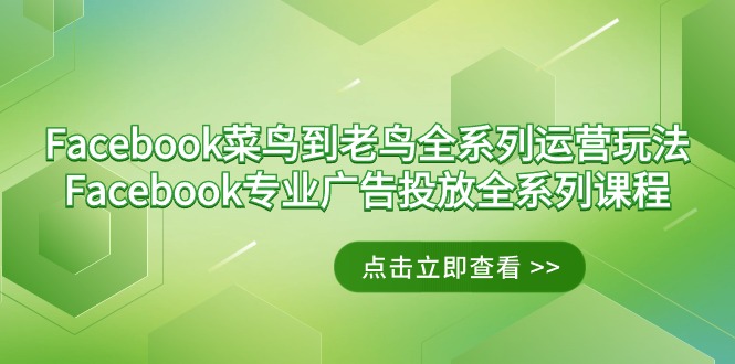 (9064期)Facebook-菜鸟到老鸟全系列运营玩法+Facebook-专业广告投放全系列课程