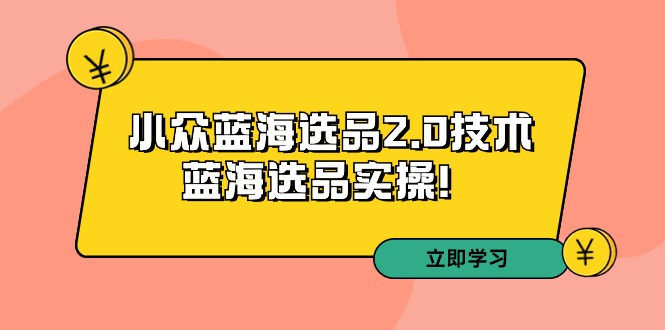 (9189期)拼多多培训第33期:小众蓝海选品2.0技术-蓝海选品实操!