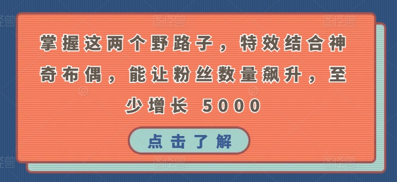 掌握这两个野路子,特效结合神奇布偶,能让粉丝数量飙升,至少增长 5000