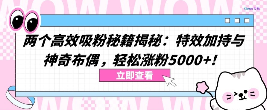 两个高效吸粉秘籍揭秘:特效加持与神奇布偶,轻松涨粉5000+