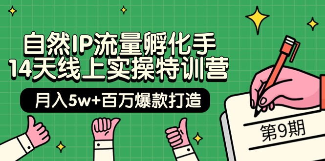 (9881期)自然IP流量孵化手 14天线上实操特训营【第9期】月入5w+百万爆款打造 (74节)