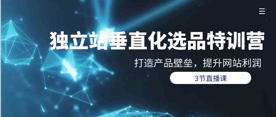 独立站垂直化选品训练营,打造产品壁垒,提升网站利润(3节直播课)