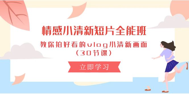 (10567期)情感 小清新短片-全能班,教你拍好看的vlog小清新画面 (30节课)