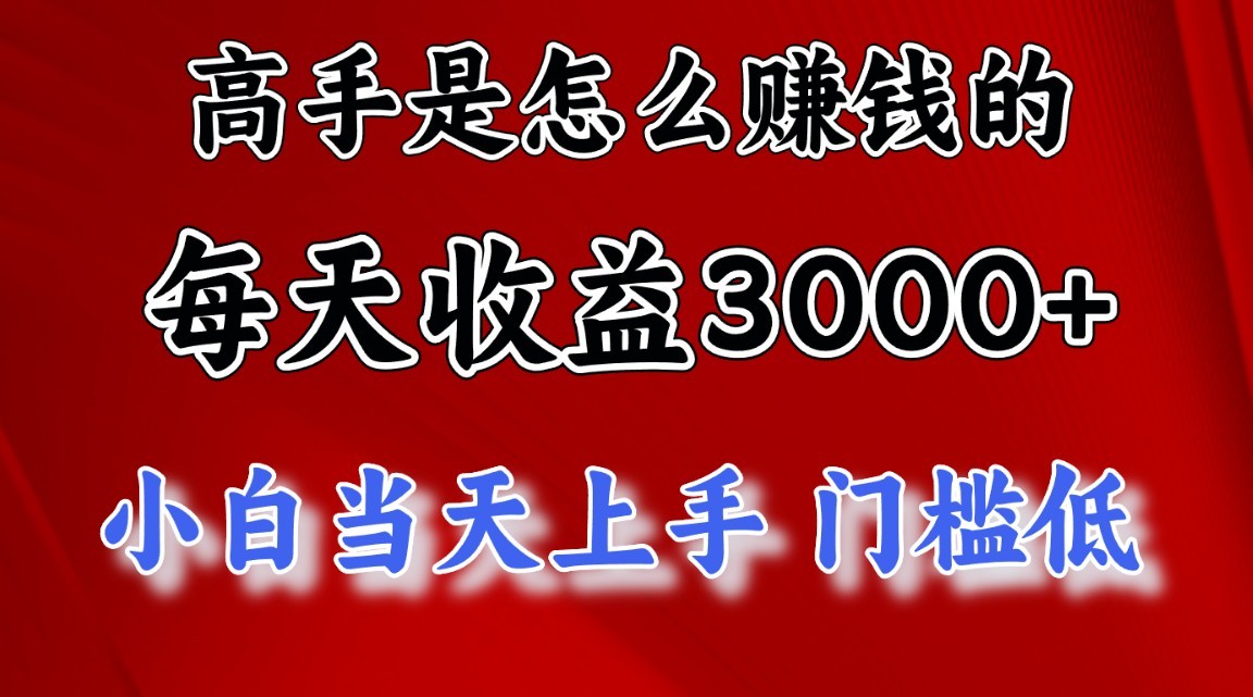 高手是怎么赚钱的,一天收益3000+,闷声发财项目,不是一般人能看懂的