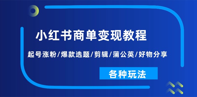 (11164期)小红书商单变现教程:起号涨粉/爆款选题/剪辑/蒲公英/好物分享/各种玩法
