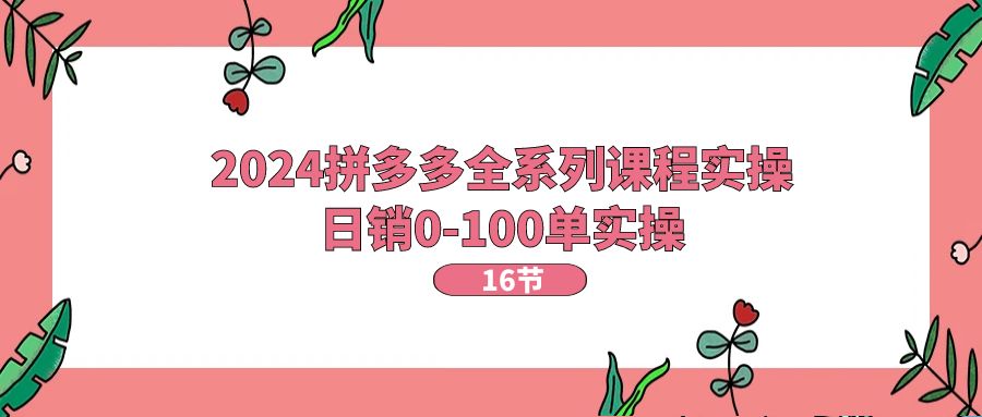 (11222期)2024拼多多全系列课程实操,日销0-100单实操【16节课】