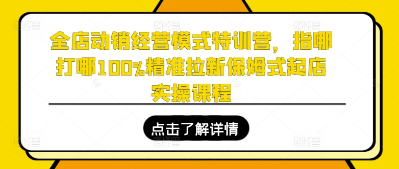 全店动销经营模式特训营,指哪打哪100%精准拉新保姆式起店实操课程