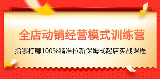 (11460期)全店动销-经营模式训练营,指哪打哪100%精准拉新保姆式起店实战课程