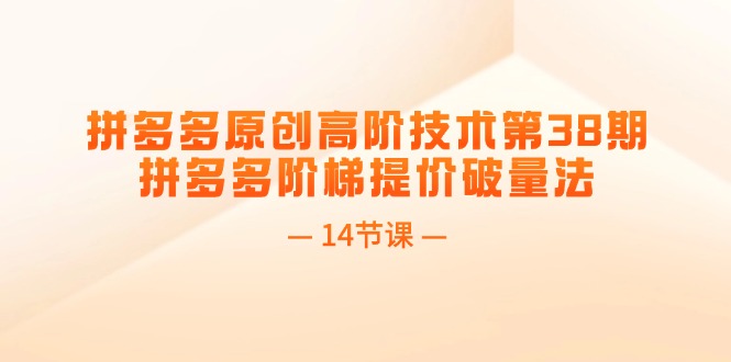 (11704期)拼多多原创高阶技术第38期,拼多多阶梯提价破量法(14节课)
