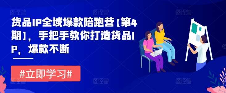 货品IP全域爆款陪跑营【第4期】,手把手教你打造货品IP,爆款不断