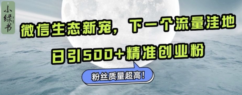 微信生态新宠小绿书:下一个流量洼地,日引500+精准创业粉,粉丝质量超高