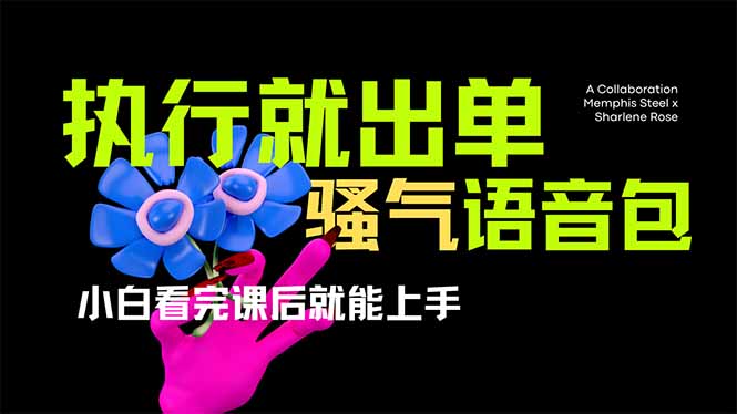 (14170期)爆火全网的开车导航骚气语音包,只要执行就出单,小白看完课程就能实操…