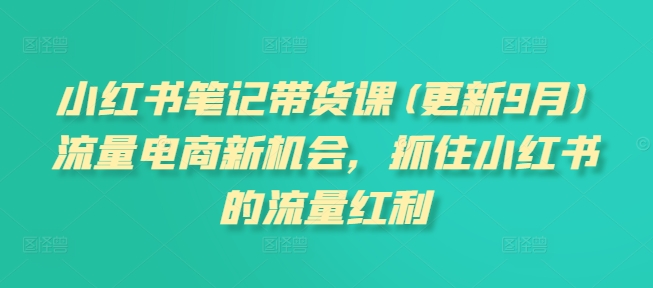 小红书笔记带货课(更新25年3月)流量电商新机会，抓住小红书的流量红利