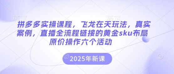 拼多多实操课程，飞龙在天玩法，真实案例，直播全流程链接的黄金sku布局原价操作六个活动