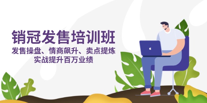 (14203期)销冠 发售培训班:发售 操盘+情商 飙升+卖点 提炼,实战提升百万业绩