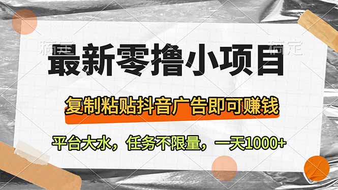 (14230期)最新零撸小项目,复制粘贴抖音广告即可赚钱,平台大水,任务不限量,一…