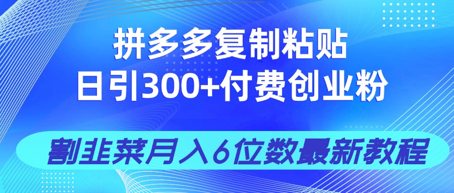 （14232期）拼多多复制粘贴日引300+付费创业粉，割韭菜月入6位数最新教程！