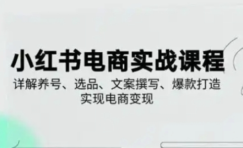 小红书从0-1实操课(2023-2025)，详解养号、选品、文案撰写、爆款打造实现电商变现
