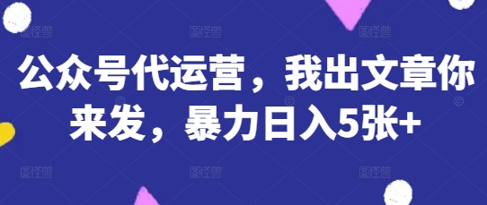 公众号代运营，我出文章你来发，暴力日入5张+