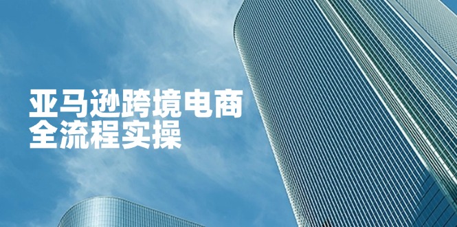 (14252期)亚马逊跨境电商全流程实操,教你从零开始,掌握店铺运营与广告技巧