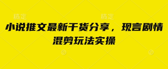 小说推文最新干货分享，现言剧情混剪玩法实操
