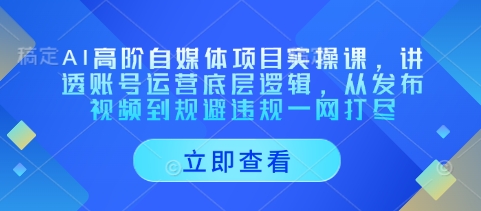 AI高阶自媒体项目实操课，讲透账号运营底层逻辑，从发布视频到规避违规一网打尽