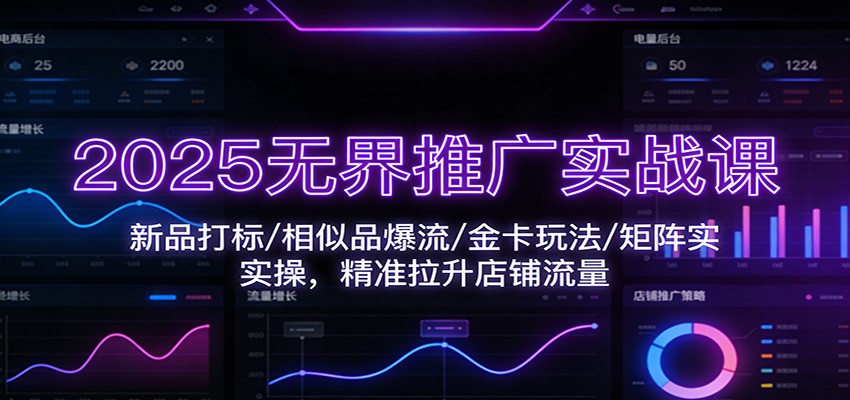 2025无界推广实战课：新品打标/相似品爆流/金卡玩法/矩阵实操，精准拉升店铺流量