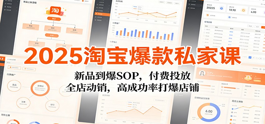 2025淘宝爆款私家课：新品到爆SOP，付费投放，全店动销，高成功率打爆店铺