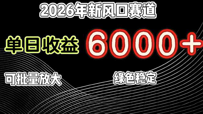 （17135期）2026年新风口赛道，当日6000+以上，可批量放大，月收入20万+，长期绿色稳定的项目